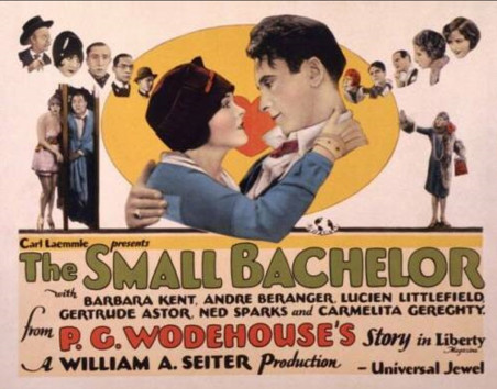 Affiche The Small Bachelor (1927)